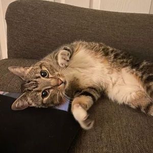 Meet your Posher, Natasha